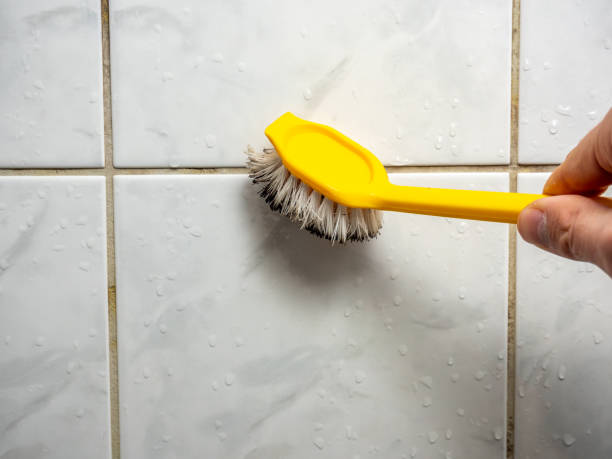 Best White Mold Remediation in Homestead Meadows North, TX