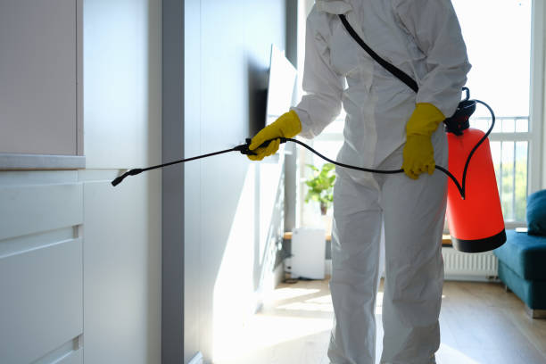 Best Mold Testing and Inspection Services in Homestead Meadows North, TX
